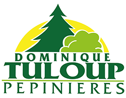 Pépinières Tuloup : Pépiniériste et paysagiste à La Mézière près de Rennes (Accueil)