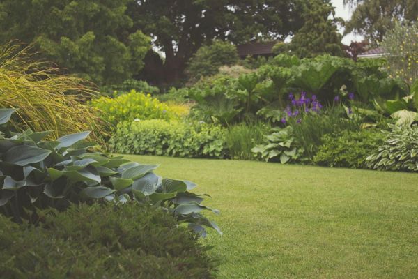 En tant que paysagiste et pépiniériste, nous pouvons mettre en place de nombreux types d'arbustes dans votre jardin.